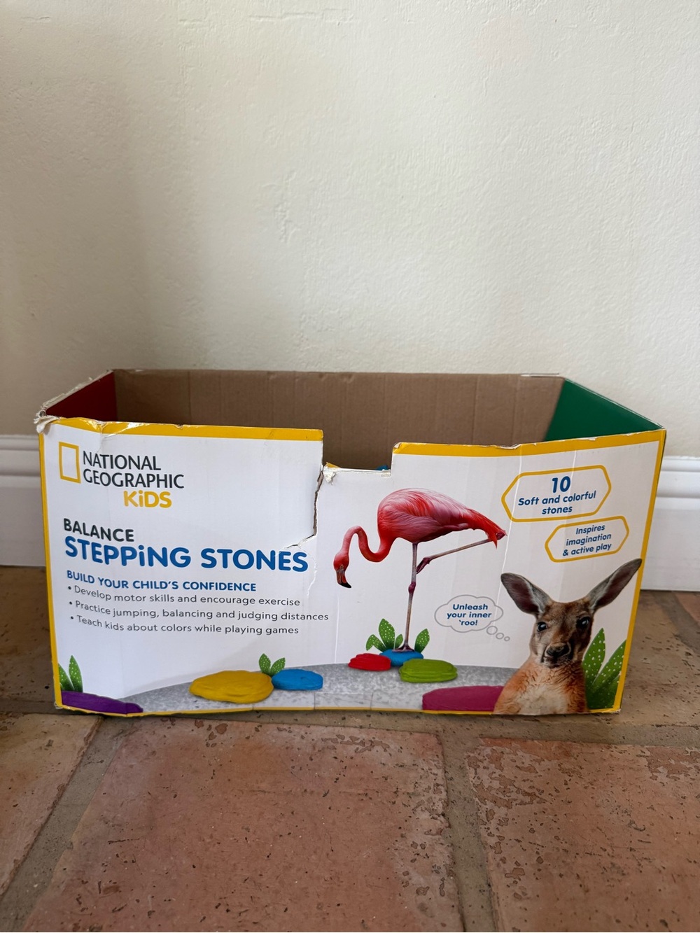 National Geographic Balance Stepping Stones - Multicolor